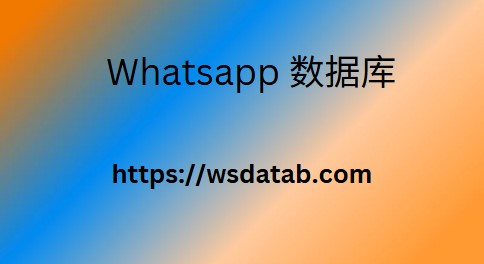 2024 年最新 WhatsApp 号码列表