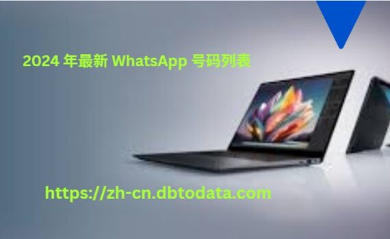 2024 年最新 WhatsApp 号码列表