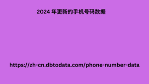 2024 年更新的手机号码数据