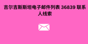 吉尔吉斯斯坦电子邮件列表 36839 联系人线索