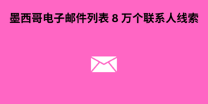 墨西哥电子邮件列表 8 万个联系人线索